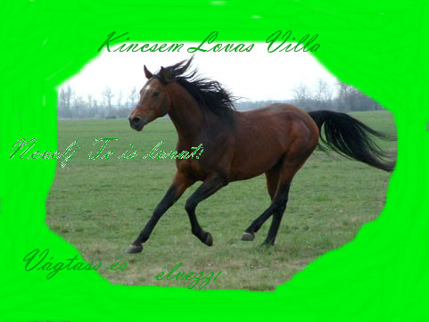 Kincsem Lovas Villa